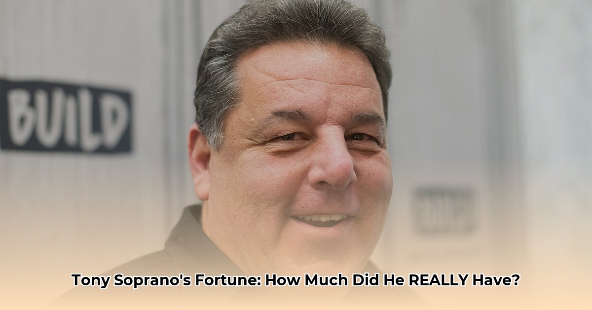 what was tony sopranos net worth